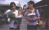 Didymos Organic Baby Sling